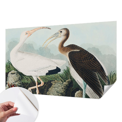 Otroška fototapeta Ptičji par