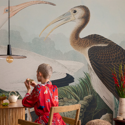 Otroška fototapeta Ptičji par