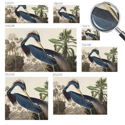 3D fototapeta Eksotična narava