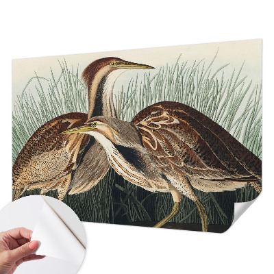 Samolepilna fototapeta za dnevno sobo Realistične ptice