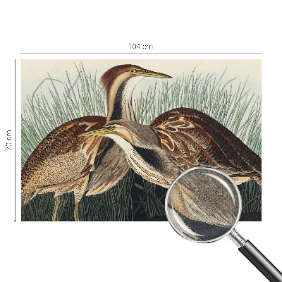 Samolepilna fototapeta za dnevno sobo Realistične ptice