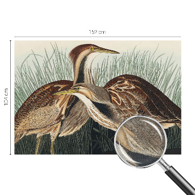 Samolepilna fototapeta za dnevno sobo Realistične ptice