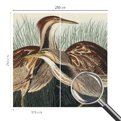 Samolepilna fototapeta za dnevno sobo Realistične ptice