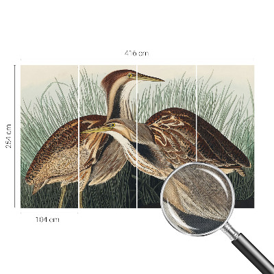 Samolepilna fototapeta za dnevno sobo Realistične ptice