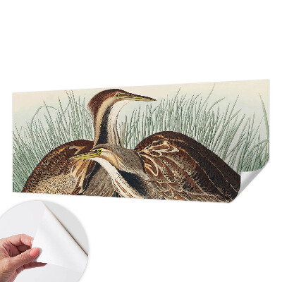 Samolepilna fototapeta za dnevno sobo Realistične ptice