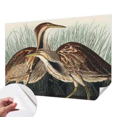 Samolepilna fototapeta za dnevno sobo Realistične ptice