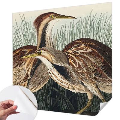 Samolepilna fototapeta za dnevno sobo Realistične ptice