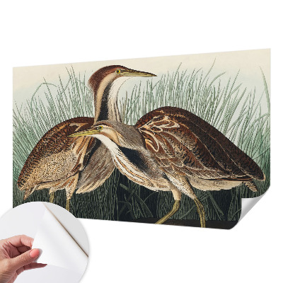 Samolepilna fototapeta za dnevno sobo Realistične ptice