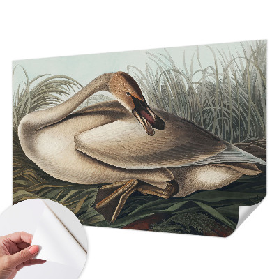 Samolepilna fototapeta za spalnico Naravna ptica