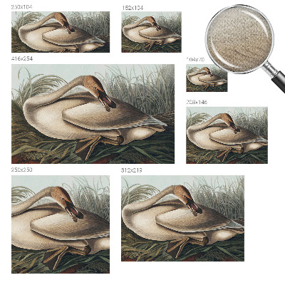 Samolepilna fototapeta za spalnico Naravna ptica