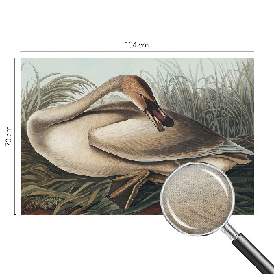 Samolepilna fototapeta za spalnico Naravna ptica