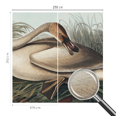 Samolepilna fototapeta za spalnico Naravna ptica