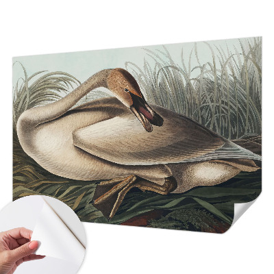 Samolepilna fototapeta za spalnico Naravna ptica