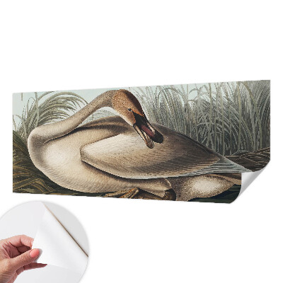 Samolepilna fototapeta za spalnico Naravna ptica