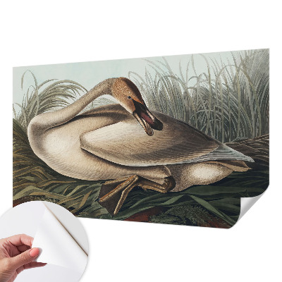 Samolepilna fototapeta za spalnico Naravna ptica