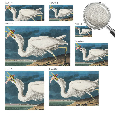 Otroška fototapeta Ptica z ribo