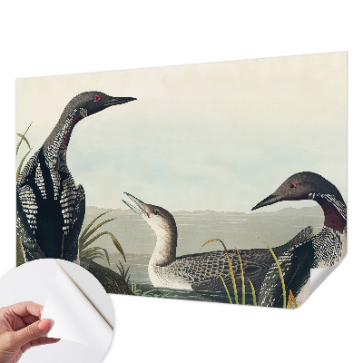 Fototapeta za otroško sobo Ptice nad vodo