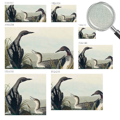 Fototapeta za otroško sobo Ptice nad vodo