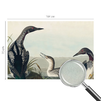 Fototapeta za otroško sobo Ptice nad vodo