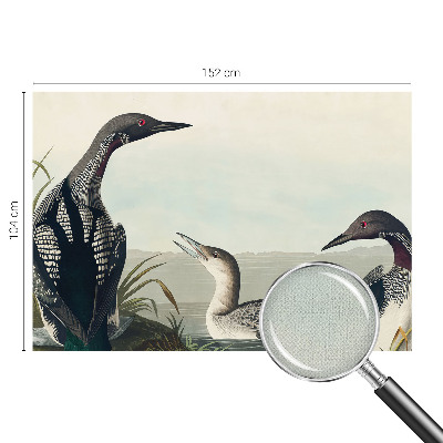 Fototapeta za otroško sobo Ptice nad vodo