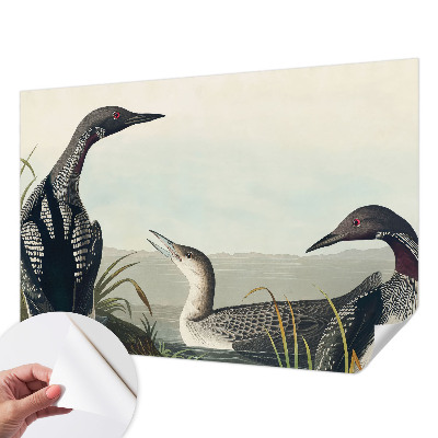 Fototapeta za otroško sobo Ptice nad vodo