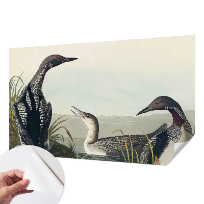 Fototapeta za otroško sobo Ptice nad vodo