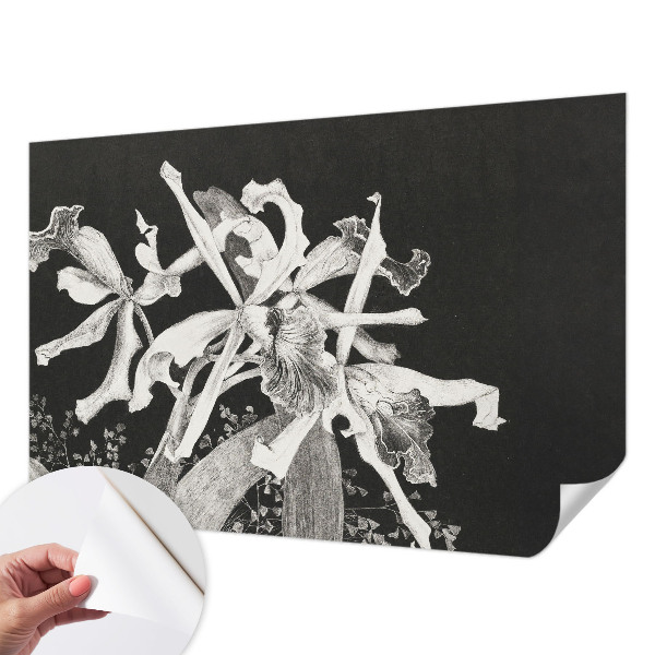 Otroška fototapeta z ilustracijo orhideje
