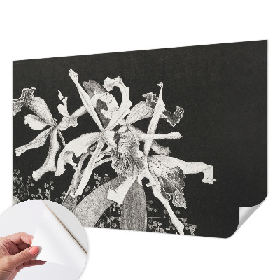 Otroška fototapeta z ilustracijo orhideje