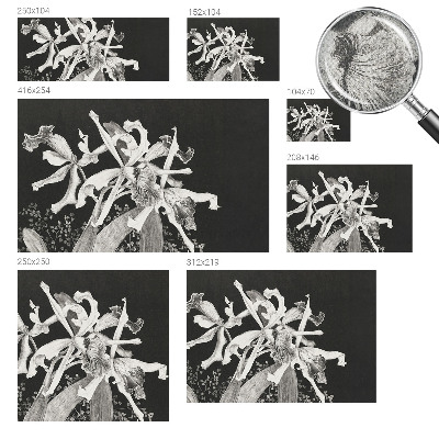 Otroška fototapeta Ilustracija orhideje