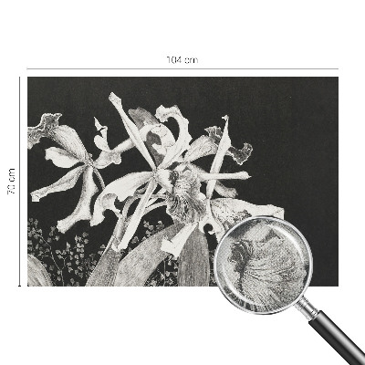 Otroška fototapeta Ilustracija orhideje