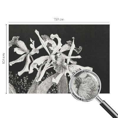 Otroška fototapeta Ilustracija orhideje