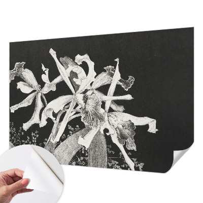 Otroška fototapeta z ilustracijo orhideje