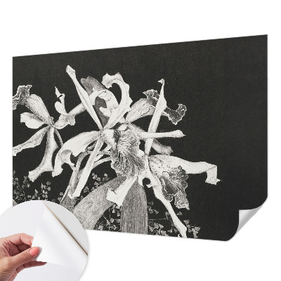 Otroška fototapeta Ilustracija orhideje