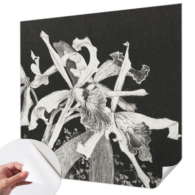 Otroška fototapeta z ilustracijo orhideje