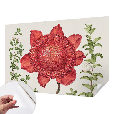 Samolepilna fototapeta za spalnico Cvetlična eleganca