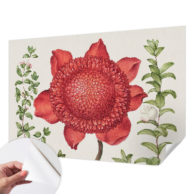 Samolepilna fototapeta za spalnico Cvetlična eleganca