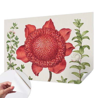 Samolepilna fototapeta za spalnico Cvetlična eleganca