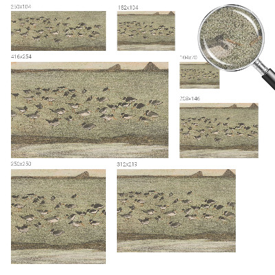 Samolepilna fototapeta za dnevno sobo Ptičji mir