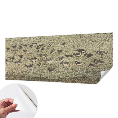 Samolepilna fototapeta za dnevno sobo Ptičji mir