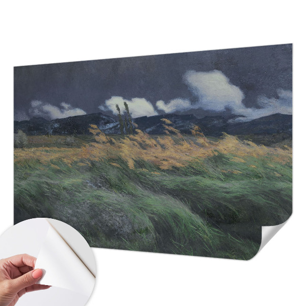 3D fototapeta z motivom pokošenih trav