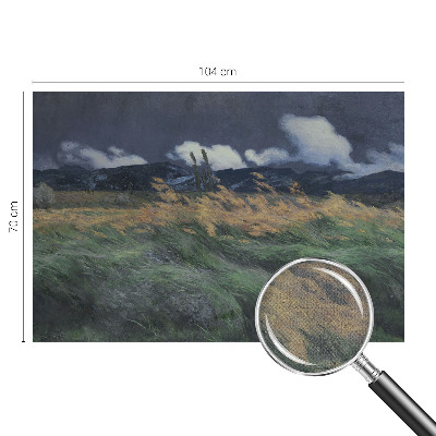 3D fototapeta z motivom pokošenih trav
