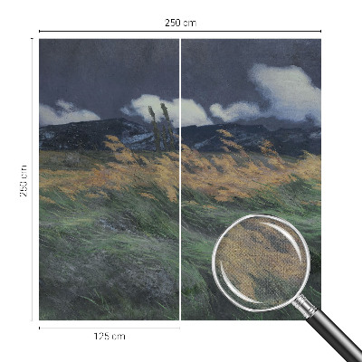 3D fototapeta z motivom pokošenih trav