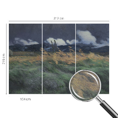 3D fototapeta z motivom pokošenih trav