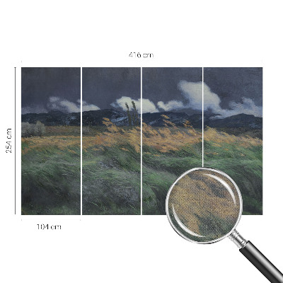 3D fototapeta z motivom pokošenih trav