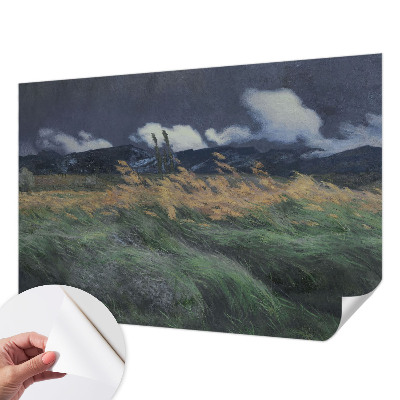 3D fototapeta z motivom pokošenih trav