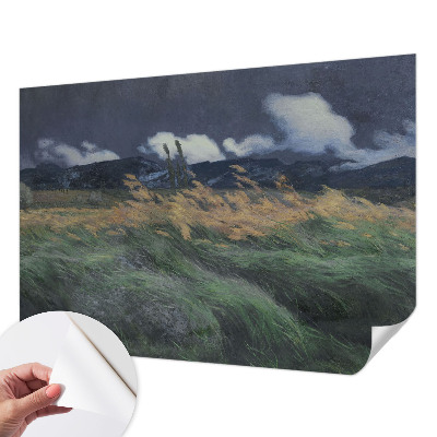 3D fototapeta z motivom pokošenih trav