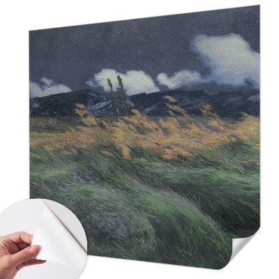 3D fototapeta z motivom pokošenih trav