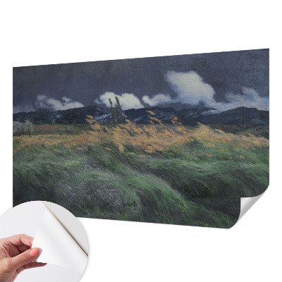 3D fototapeta z motivom pokošenih trav