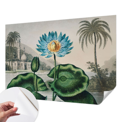 Samolepilna fototapeta z motivom eksotične pokrajine