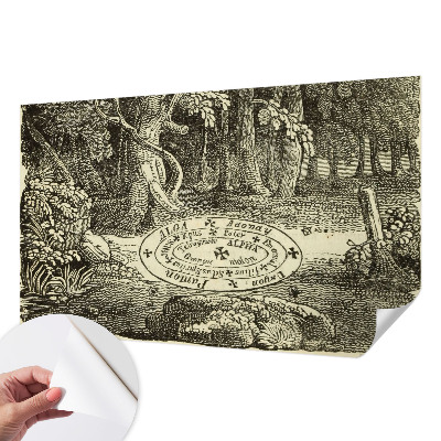 3D fototapeta s motivom čarobnega kroga